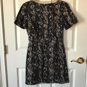 Short Sleeve Work Dress